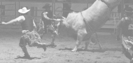Bull riding Slovakia cup 2012